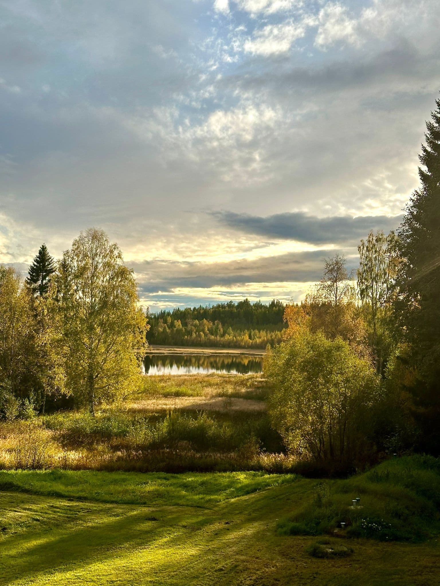 Herbstlicher Blick über Wiese und See